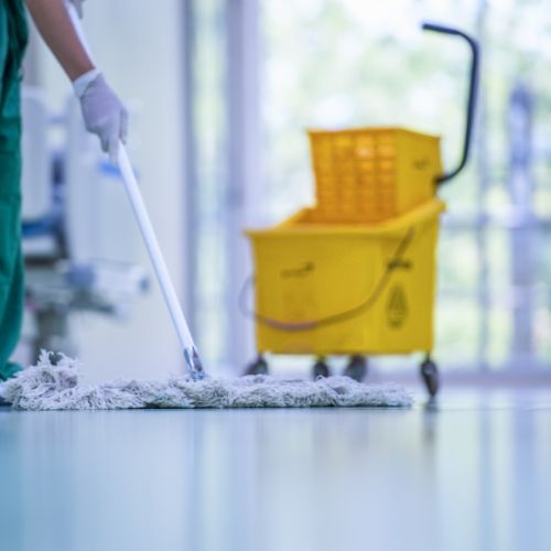 Pressure washing team cleaning a driveway in Brazoria County, TX near me.